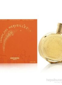 L' AMBRE DES MERVEILLLES