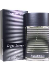ZEGNA INTENSO