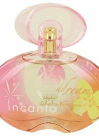 INCANTO DREAM TESTEUR